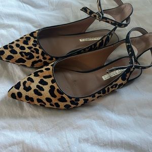 Leopard Skin Audrey Brooke Flat Shoes- Size 8